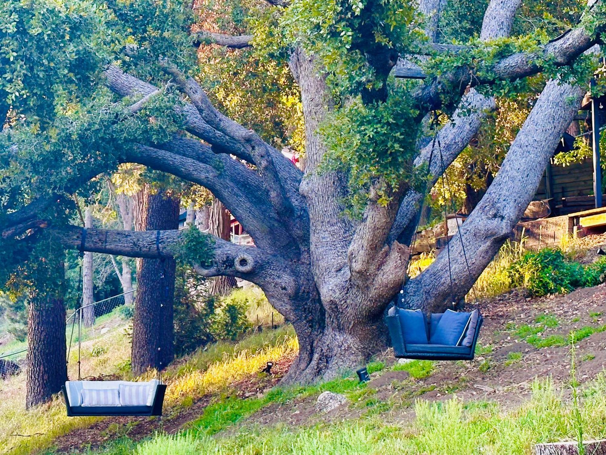 100 Mile View-Fire Pit, Romantic, Peaceful, Private 크레스틀린 외부 사진