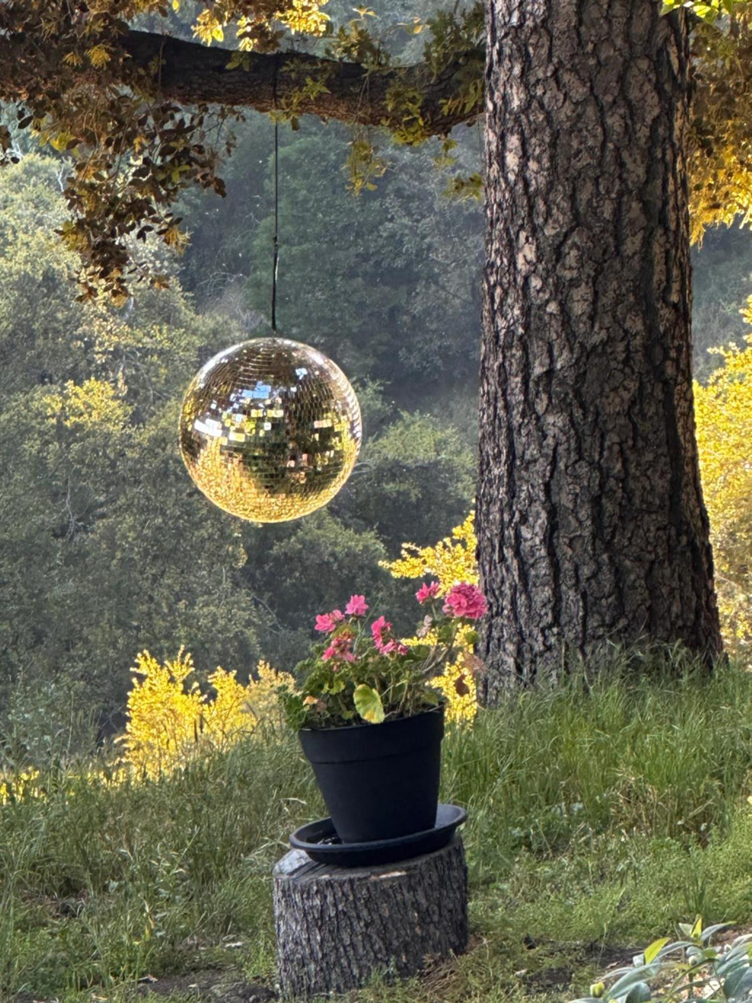 100 Mile View-Fire Pit, Romantic, Peaceful, Private 크레스틀린 외부 사진